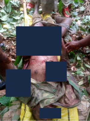 gabon :-etripe-a-mort-par-un-elephant-a-makokou