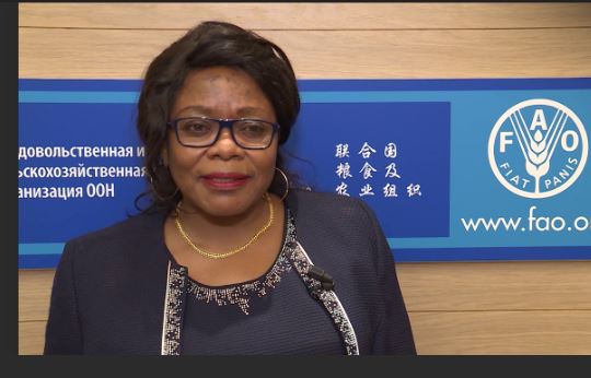 cameroun-:-la-ministre-clementine-ananga-messina-ne-sera-pas-inhumee-la-ou-son-mari-voulait