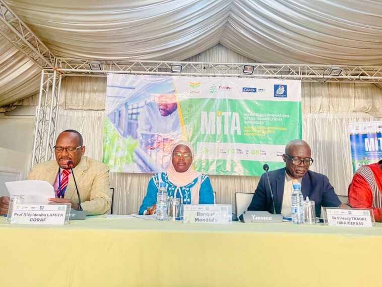 afrique:-faible-adoption-des-innovations-agricoles-par-les-paysans